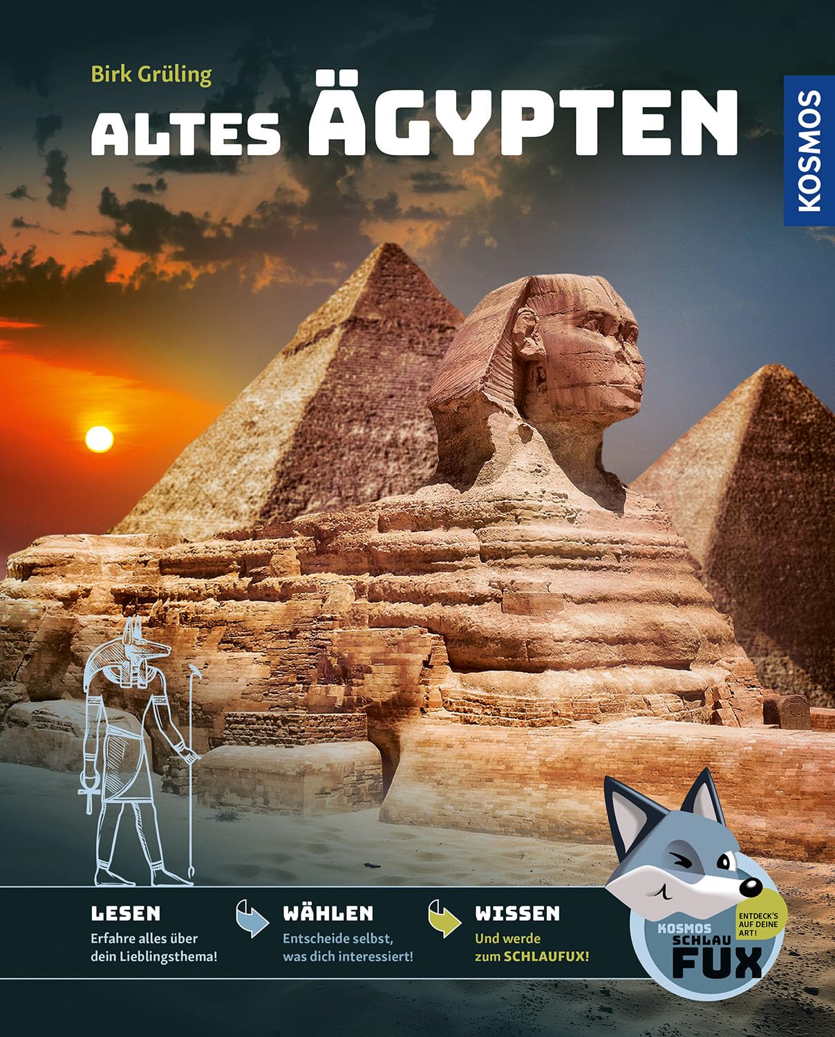 Birk Grüling - Kosmos SchlauFUX - Altes Ägypten: Kurze, spannende Texte wecken Neugier – selbst entscheiden wo es weitergeht, macht Spaß und stärkt Lesekompetenz und Textverständnis – ab 8 Jahre. - Preis vom 12.10.2026 11:37:12 h