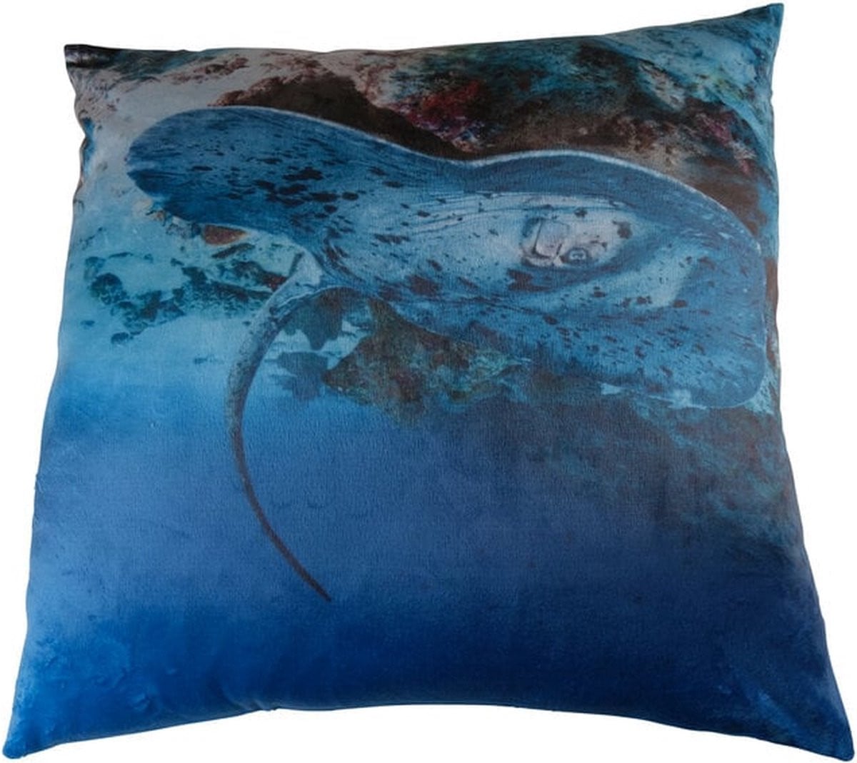 Linen & More Photoprint Ocean Sierkussen voor Woonkamer of Slaapkamer, 45 x 45 cm
