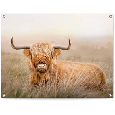 Poster REINDERS "Hochlandrind", beige (farbe bild(er): beige), B:80cm H:60cm T:0,1cm, Leinwand, Bilder, Poster