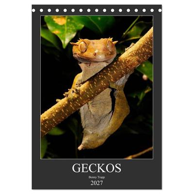 GECKOS (Tischkalender 2027 DIN A5 hoch), CALVENDO Monatskalender