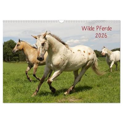 Wilde Pferde (Wandkalender 2026 DIN A3 quer), CALVENDO Monatskalender
