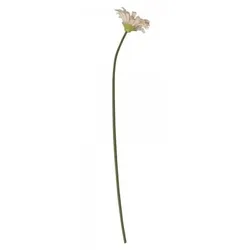 Chic Antique Fleur Gerbera, H60/D10 cm, rose