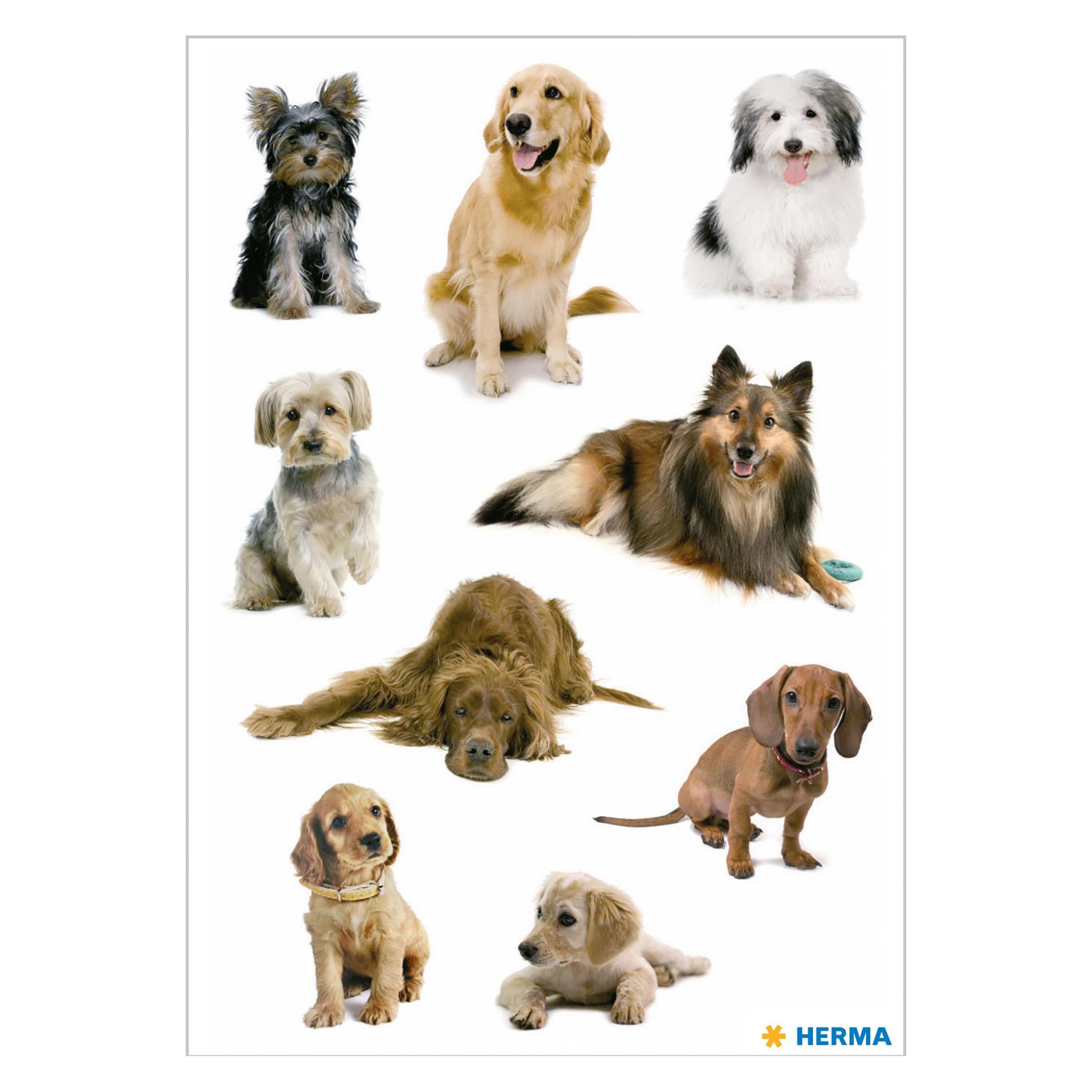 Herma Sticker Hunde (27 Sticker) (3432)