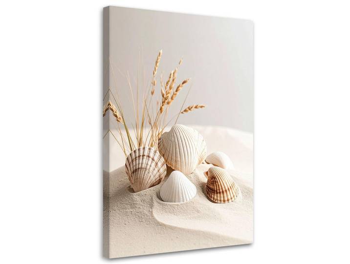 Feeby Leinwandbild Muscheln Pflanzen Natur Boho 80x120cm, Beige, Baum/Pflanze/Natur, Rechteckig, 80x120 cm, Bilder & Rahmen, Bilder, Leinwandbilder
