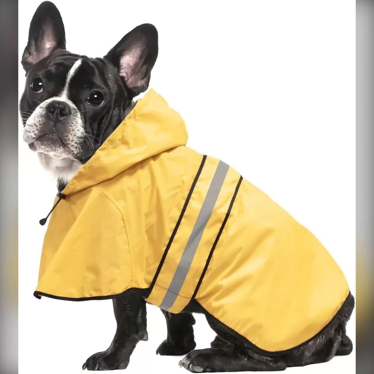 INF Imperméable Réfléchissant pour Chien - Tailles Petites à Grandes L