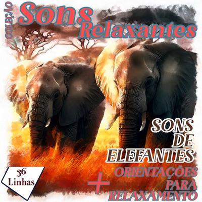 Coleção Sons Relaxantes - Sons de Elefantes - Silvia Strufaldi, Audio, 9798882299544