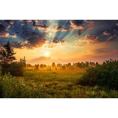 Fototapete PAPERMOON "Landschaft", bunt, B:4m L:2,6m, Vlies, Tapeten