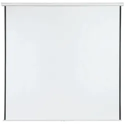 Franken Rollo-Leinwand »X-tra! Line« 240x240 cm