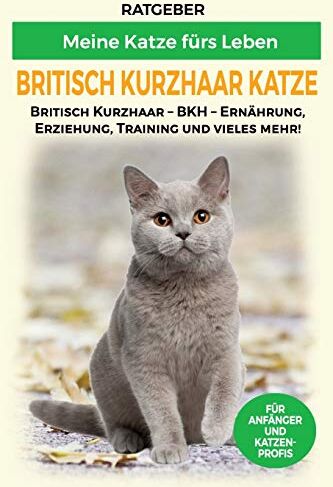 Ratgeber Meine Katze fürs Leben - Britisch Kurzhaar Katze: Britisch Kurzhaar Katze Ratgeber - BKH Katze - Erziehung, Ernährung und Pflege (Katzenrassen) - Preis vom 19.10.2026 19:33:35 h