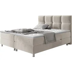 BOXBETT Dave - H3