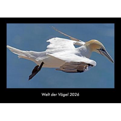 Welt der Vögel 2026 Fotokalender DIN A3