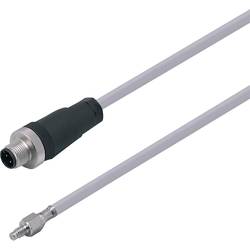 ifm Electronic TS0759 TS0759 PT100 Temperatursensor -30 bis 180 °C