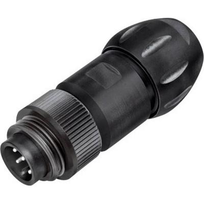 binder 99 4221 300 04 Subminiatur-Rundsteckverbinder Stecker, gerade Gesamtpolzahl: 3 + PE 1 St.