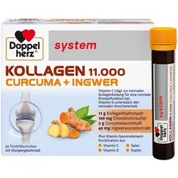 DOPPELHERZ Kollagen 11.000 Curcuma+Ingw.system TRA 750,06 ml