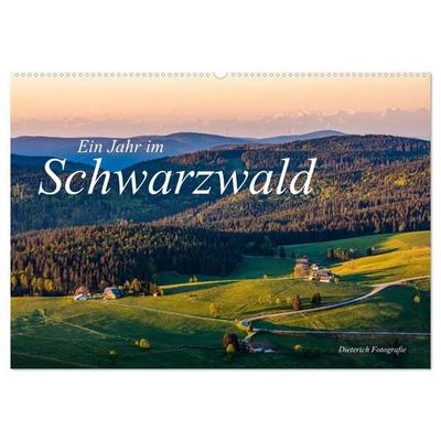 Ein Jahr im Schwarzwald (Wandkalender 2027 DIN A2 quer), CALVENDO Monatskalender