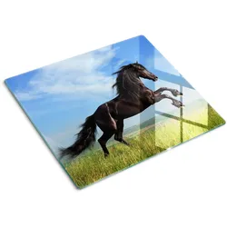 GLASPLATTE 60x52 cm Schwarzes Pferd auf der Wiese
