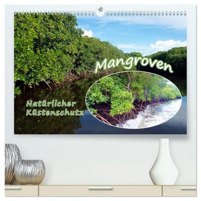 Mangroven - Natürlicher Küstenschutz (hochwertiger Premium Wandkalender 2027 DIN A2 quer), Kunstdruck in Hochglanz