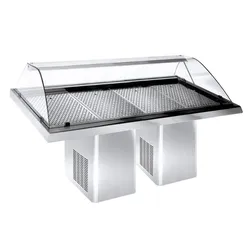 Gekühlte Fischvitrine 2.3 – Edelstahl, 0,25 kW, LED, fahrbar
