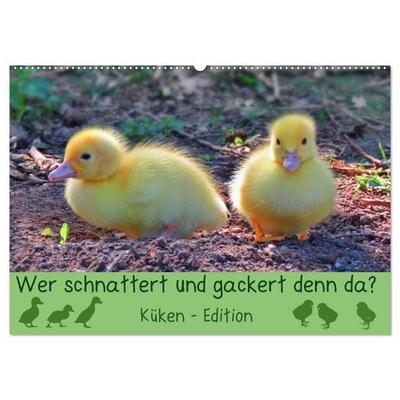 Wer schnattert und gackert denn da? - Küken-Edition (Wandkalender 2027 DIN A2 quer), CALVENDO Monatskalender
