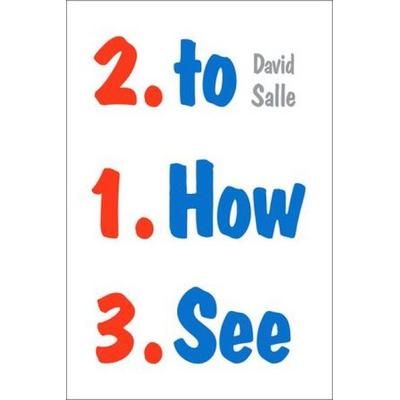How to See, Taschenbuch von David Salle, KNV Besorgung, 978-0-393-35496-6