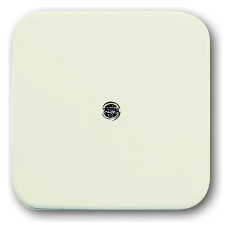 Busch-Jaeger Zentralscheibe (2CKA001724A0244)