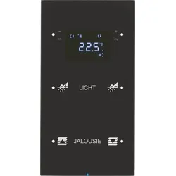 Berker Touchsensor 2-fach Glas schwarz 75642155