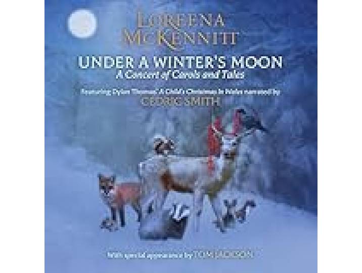 Under a Winter'S Moon