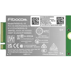 HP 4G LTE-Advanced Pro WWAN for G11, Netzwerkkarte, Silber, Grün