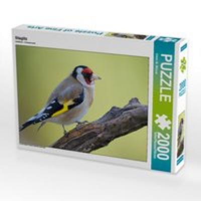 CALVENDO Puzzle Stieglitz 2000 Teile Lege-Größe 90 x 67 cm Foto-Puzzle Bild von Dieter-M. Wilczek