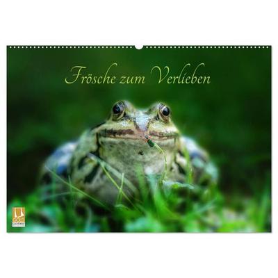 Frösche zum Verlieben (Wandkalender 2027 DIN A2 quer), CALVENDO Monatskalender