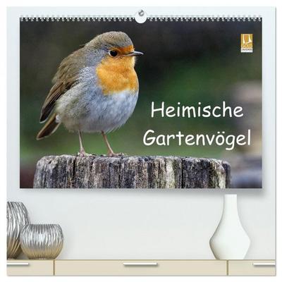 Heimische Gartenvögel (hochwertiger Premium Wandkalender 2026 DIN A2 quer), Kunstdruck in Hochglanz