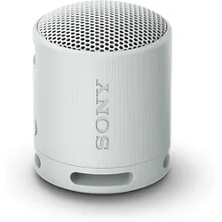 Sony SRS-XB100H BT-Lautsprecher, Grau