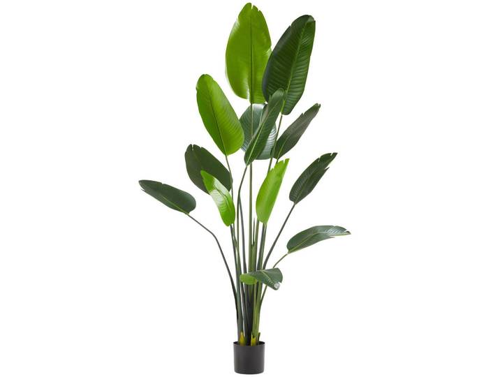 tectake Künstlicher-Paradiesvogelbaum Tropic, stabiler Kunststoff-Blumentopf, grün, Grün, 180 cm, Dekoration, Blumen & Blumentöpfe, Kunstpflanzen