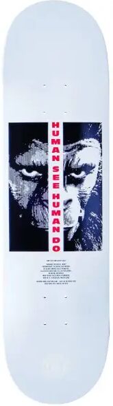 Skateboard Deck Element Pota (8.5" - Arise)