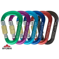 HMS Karabiner mit Schraubvsicherung Pro Easylock, violett, 25 kN