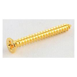 AllParts AP GS 0008-002 HB-Ring Screws/8 gld 19mm (Instrumenten Ersatzteile) (47163952)