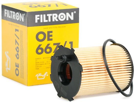 FILTRON OE 667/1 Oil filter