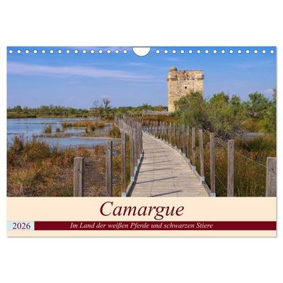 Camargue - Im Land der weißen Pferde und schwarzen Stiere (Wandkalender 2026 DIN A4 quer), CALVENDO Monatskalender