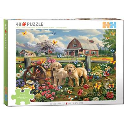 CP48 - Puppy Spring by Shawna Steward