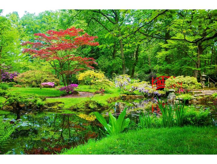 Fototapete PAPERMOON GARTEN-BLUMEN BÄUME PFLANZEN STEINE WALD PARK BLÜTEN , bunt, B:5m L:2,8m, Vlies, Tapeten, Fototapete