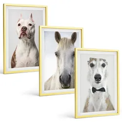 BILDER SET 3er Set - 40x60 cm Goldrahmen - Elegante Porträts von Hunden und Pferden