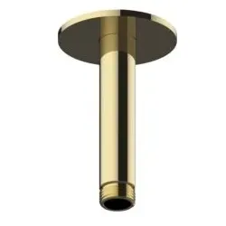 Herzbach LIVING SPA Deckenarm 100mm 70 30.964810.1.03 rund PVD Gold