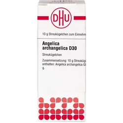 Angelica Archangelica D30 10 G