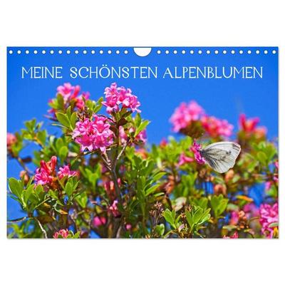 Meine schönsten Alpenblumen (Wandkalender 2027 DIN A4 quer), CALVENDO Monatskalender