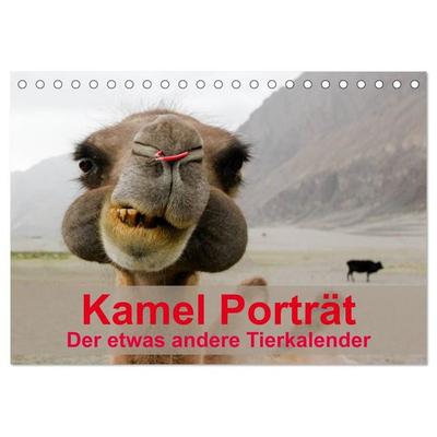 Kamel Porträt (Tischkalender 2027 DIN A5 quer), CALVENDO Monatskalender