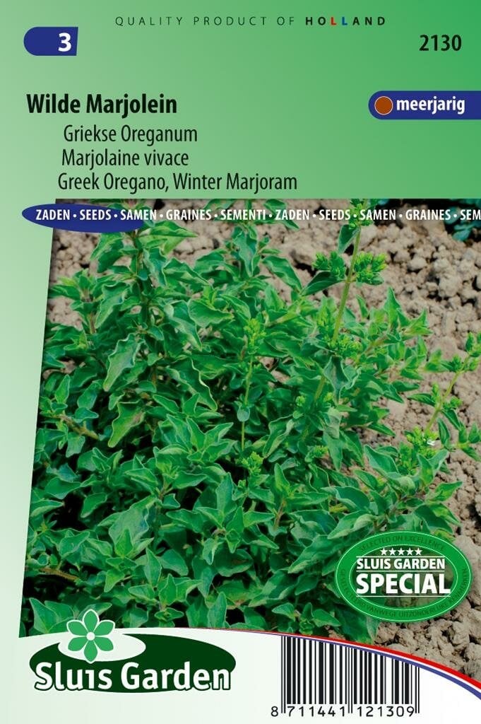 Sluis Garden Griekse Oreganum zaden Wilde Marjolein