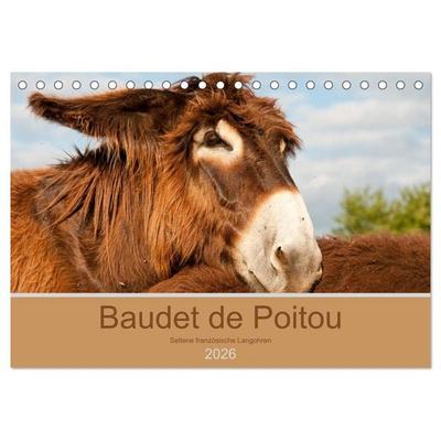 Baudet de Poitou - Seltene französische Langohren (Tischkalender 2026 DIN A5 quer), CALVENDO Monatskalender