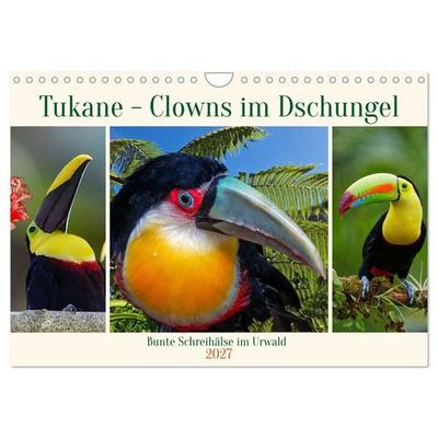 Tukane - Clowns im Dschungel (Wandkalender 2027 DIN A4 quer), CALVENDO Monatskalender