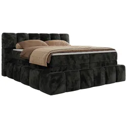 BOXSPRINGBETT NIRA KING 140/200 Dunkelgrau Plüsch - H4