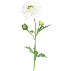 Kunstblume Ranunkel 58 cm Kunststoff Beige Creme